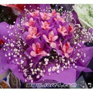 花惠兰,彩云之都